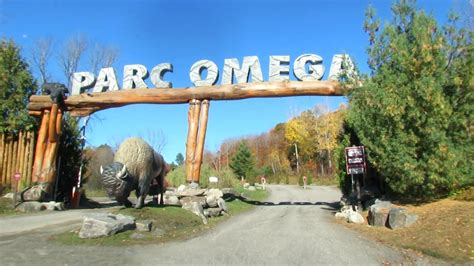 parc omega montebello canada|parc omega admission fee.